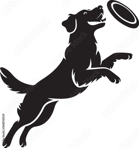 Active dog leaps to catch frisbee mid-air in dynamic action