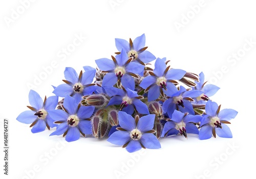 Pile of blue borage