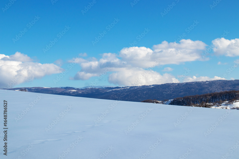 Obraz premium A field covered with white snow, a hill with winter trees in the background, blue sky and white clouds