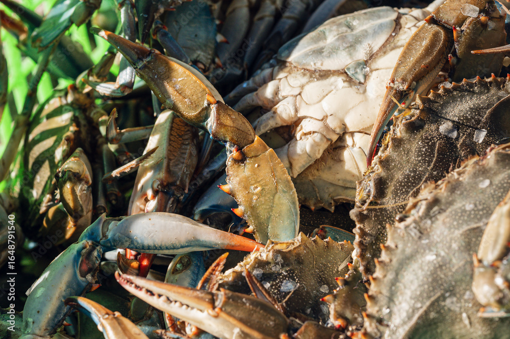 Naklejka premium a basket full of blue crabs, Comacchio, Ferrara, italy