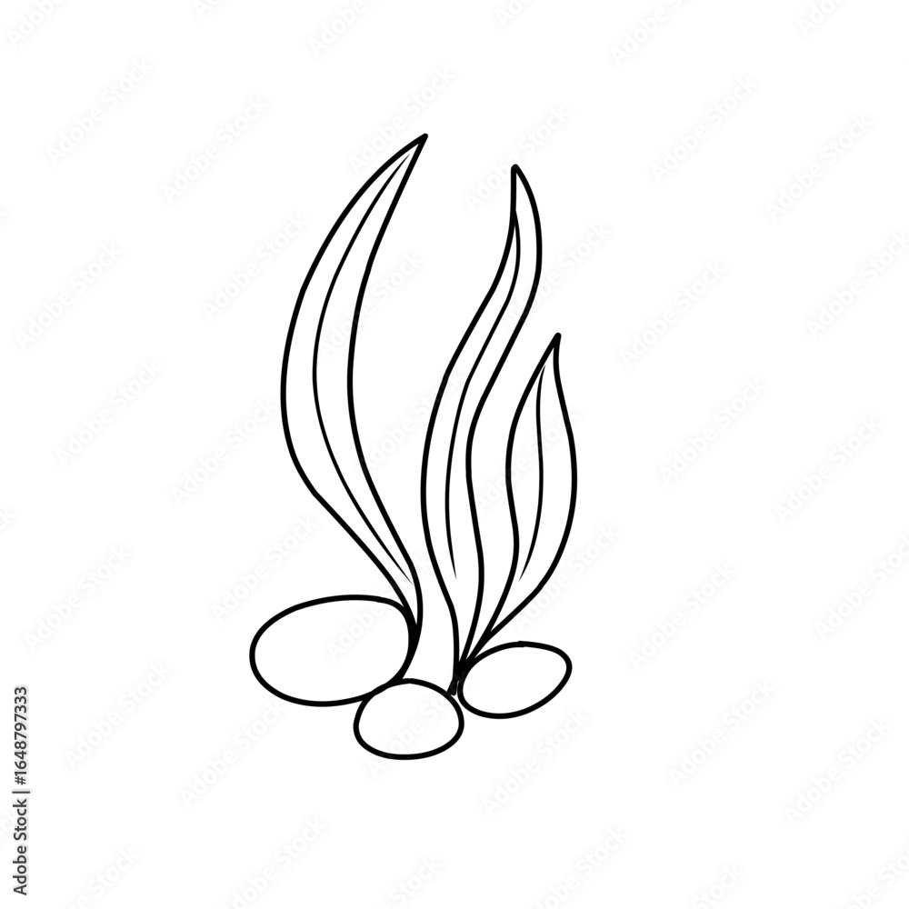 Naklejka premium seaweed outline