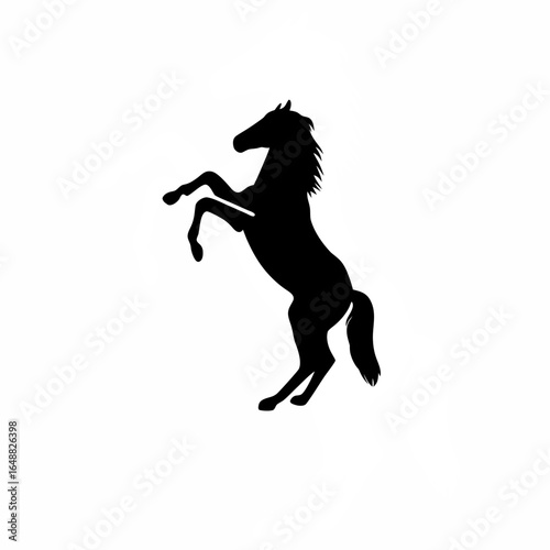 Powerful horse rearing on hind legs front view silhouette