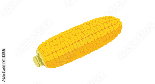 Isolated Yellow Corn on the Cob Illustration with Green Husk Detail