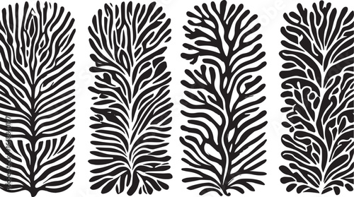 set of grunge leaf and Flower doodle hand drawn line stroke.  black hand Vector illustration vector design on  transparent background