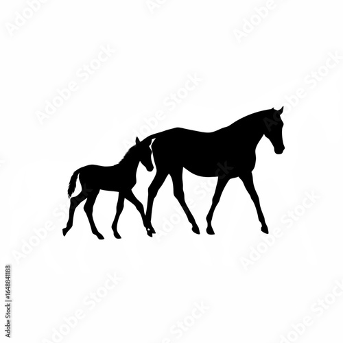 Silhouette of a mother horse and foal walking together