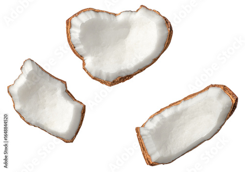 Fresh coconut meat isolated on white background, top view.
