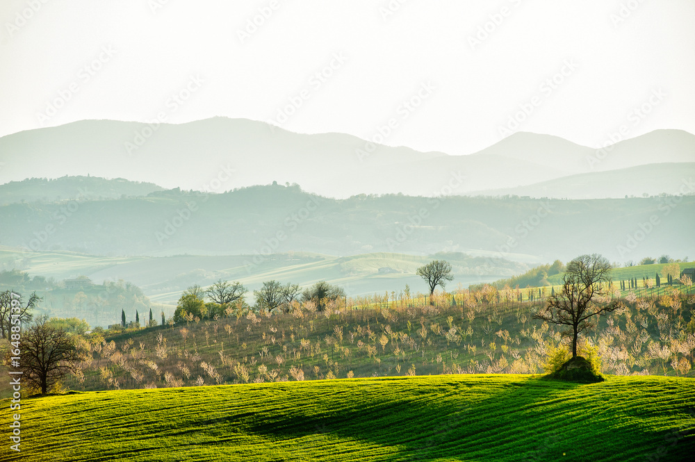 Fototapeta premium Rolling hills and autumn countryside in Massa Martana, Umbria, Italy, with layered mountains, trees, and soft golden light