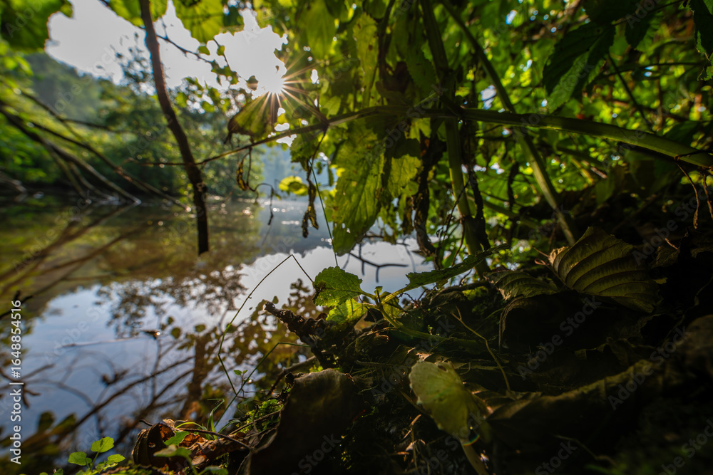 Naklejka premium Adda (river)