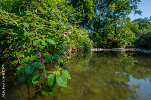 Foto Adda (river)