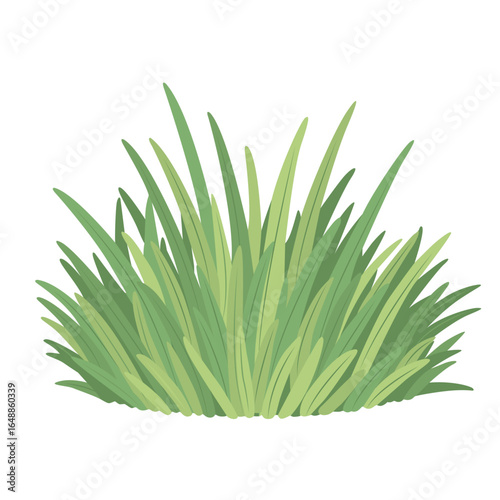 Flat vector illustration of dense bushy green grass plant, ideal for decoration in nature, garden, and outdoor landscape scenes.