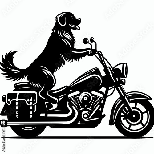 Golden Retriever Dog ride cruiser motorcycle. Cartoon Animal Clipart Silhouette Vector Illustration Line Art Illustration. Canine companion travels on motorbike a enjoys journey two wheels.