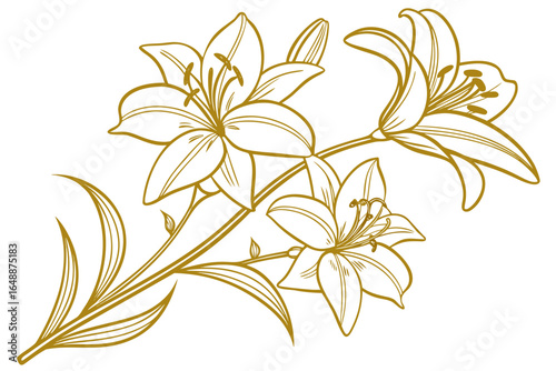 Golden magnolia flowers line art isolated on white background. Luxury magnolia floral design elements for invitation, wedding, wallpaper, print template.vector 