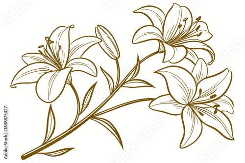 Golden magnolia flowers line art isolated on white background. Luxury magnolia floral design elements for invitation, wedding, wallpaper, print template.vector 