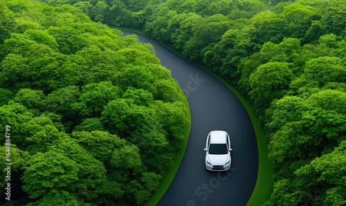 Car on road surrounded by lush green trees, winding through the forest. Aerial view of vibrant nature and asphalt