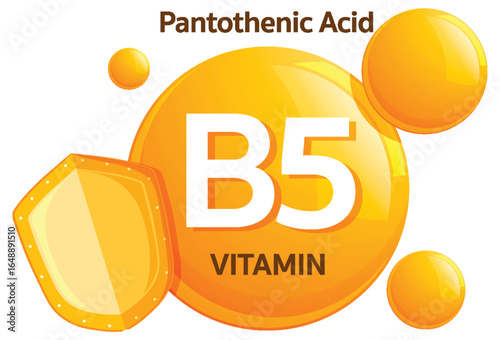 Vitamin B5 Pantothenic Acid Icon in Flat Vector Style