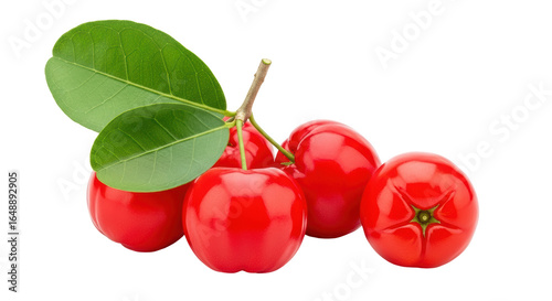 Tableau sur toile Isolated Acerola Cherry