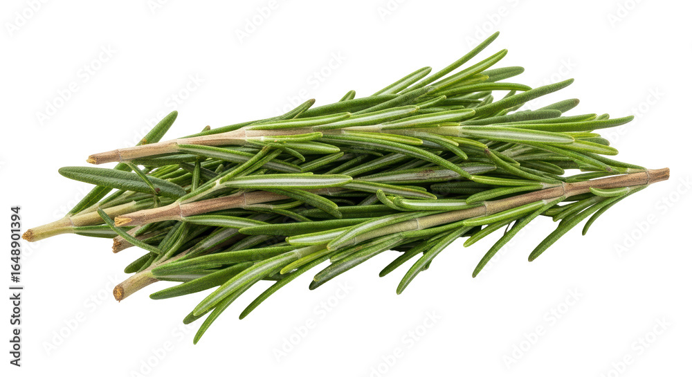 Fototapeta premium Isolated Rosemary