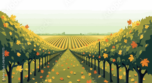 Autumnal Vineyard Scenery With Leaves Falling From The Grapevine Rows