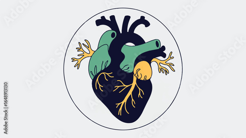 Stylized Human Heart Illustration Inside a Circle with Blue Green and Yellow Accents Showing Cardiovascular Anatomy for Medical or Educational Use