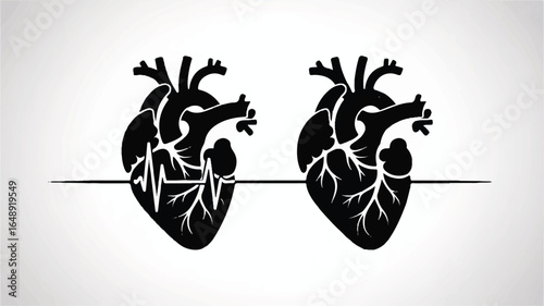 Two Anatomical Hearts Illustration Representing Healthcare and Cardiology Medical Condition with Heartbeat Rhythm Symbolize Vitality and Life on Clear Background