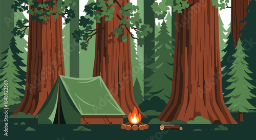 Camping Adventure In The Forest With Tall Trees And A Cozy Campfire