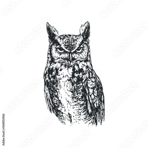 Detailed ink sketch of an owl with piercing eyes and feathered texture