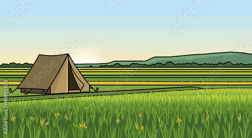 Camping In A Beautiful Rice Field During Summer Vacation Illustration