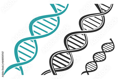Illustration of three dna helix structures in varying sizes isolated on white background