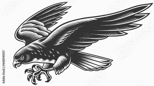 Illustration of a detailed falcon in flight with spread wings and sharp talons ready to strike prey silhouette