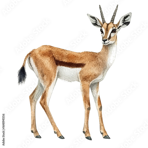 Antelope, watercolor clipart vector, isolated on a white background.