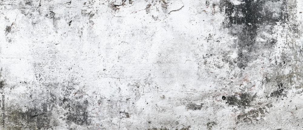 Fototapeta premium Aged, textured, mottled wall surface. Grays and whites. Various marks and blemishes are evident on the surface. A slightly rough, uneven texture