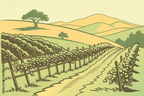 A rustic vineyard with rows of grapes glowing in late afternoon light, modern flat illustration style