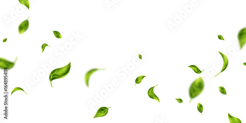 Fluttering leaves background, vector illustration