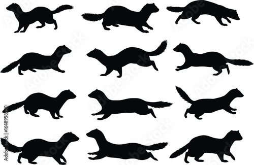  A collection of mink and weasel silhouettes, in various running and stalking poses, showcasing the agility and movement of these animals.