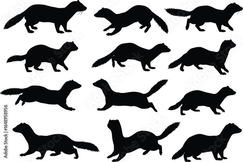  A collection of mink and weasel silhouettes, in various running and stalking poses, showcasing the agility and movement of these animals.