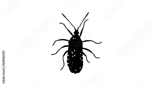 Squash bug symbol, black isolated silhouette