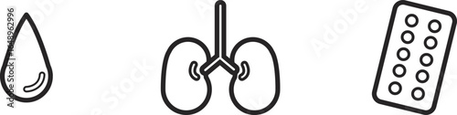 Kidney Health and Hydration A Medical Illustration of Treatment and Care