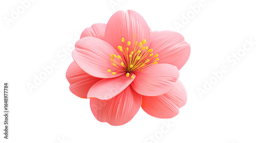 Exquisite pastel pink flower blossom with yellow stamen on transparent background