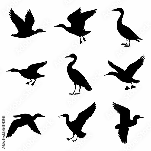Collection of various bird silhouettes in flight and standing isolated on white background silhouette
