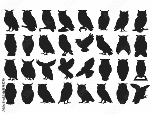 Collection of diverse owl silhouettes in various poses isolated on white background silhouette