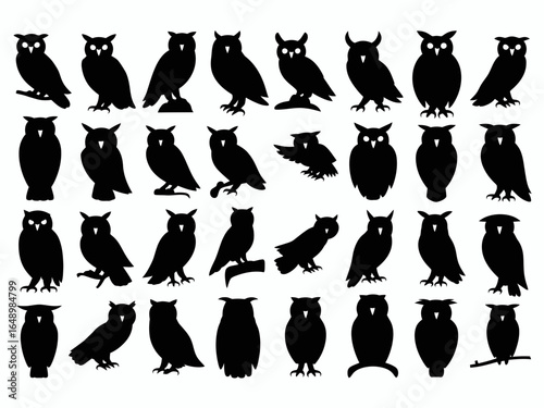 Collection of diverse owl silhouettes isolated on white background