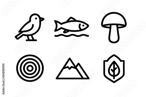 Graphics depicting nature elements including a bird, fish, mushroom, and mountainous landscape in a minimalistic style
