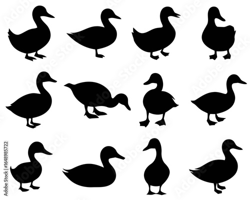 Collection of twelve duck silhouettes in various poses isolated on white background