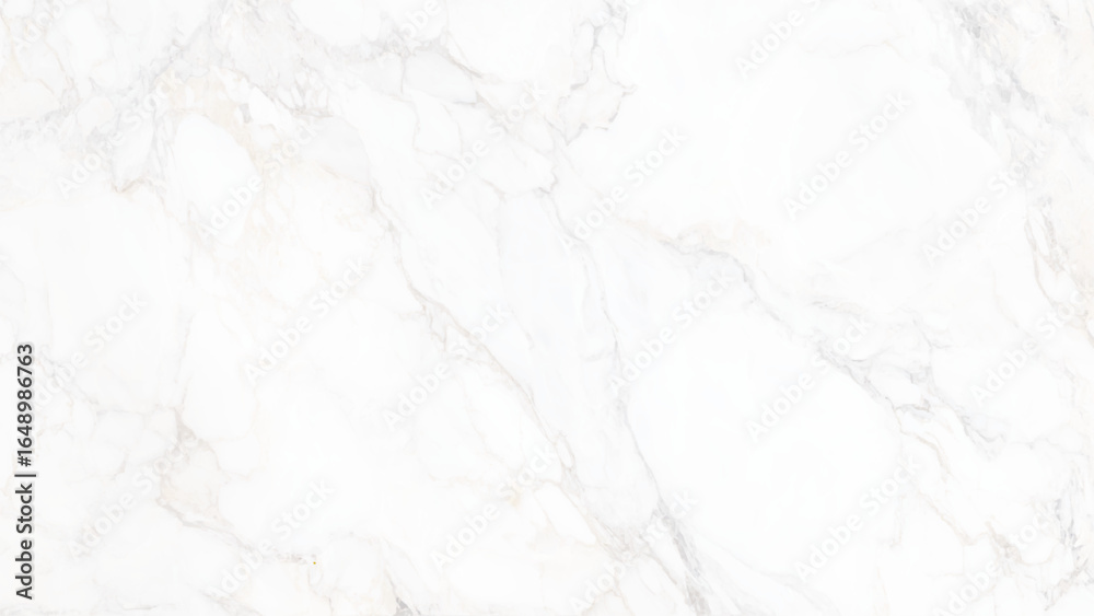 Fototapeta premium White marble natural pattern and Gray line vector art texture background illustration, White background paper with white marble texture, Marble seamless vector pattern