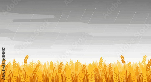 Golden Wheat Field Under Rainy Sky Weather Agricultural Landscape