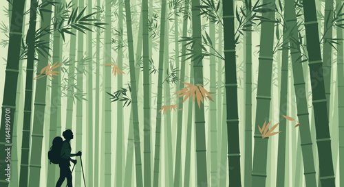 Hiker Silhouette Wander Through Lush Green Bamboo Forest Landscape