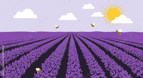 Lavender Fields Under Sunny Sky With Bees Gathering Nectar In The Countryside