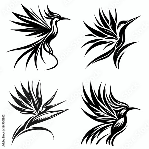 Bird of paradise. Retro Vintage Line Art Clipart Silhouette Vector Illustration. Tropical avian marvel a brilliant plumage showcasing heavens natural wonder.