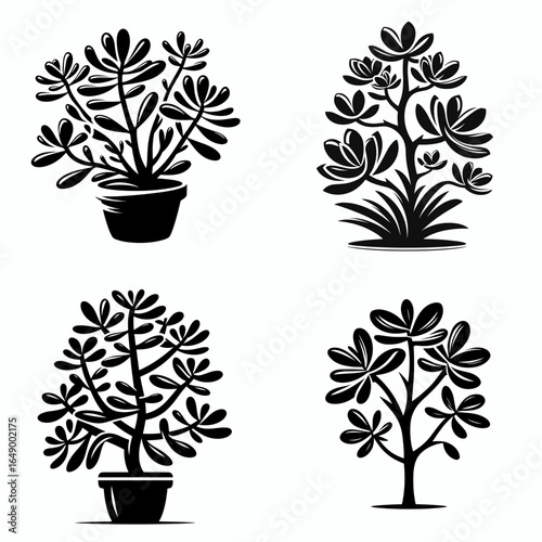 Jade plant. Retro Vintage Line Art Clipart Silhouette Vector Illustration. Lucky succulent a home decor good luck charm and easy care indoor flora.