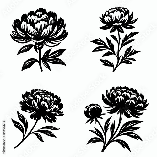 Peony stem. Retro Vintage Line Art Clipart Silhouette Vector Illustration. Herbaceous bloom stalk floral part of a plant flowery axis flora piece.